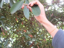 写真：乳児遠足10