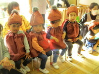 どんぐりの写真