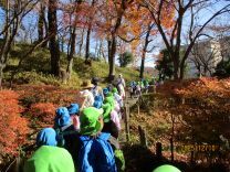 写真：お弁当給食3