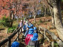写真：お弁当給食4