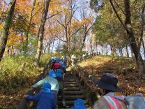 写真：お弁当給食5