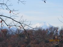 写真：お弁当給食7