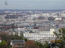 写真：お弁当給食9