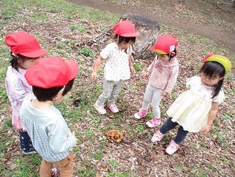 2歳児うさぎ組が高倉南公園で遊んでいる様子