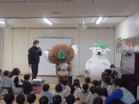 エコクマエコアラの写真