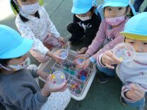 写真：氷づくり2