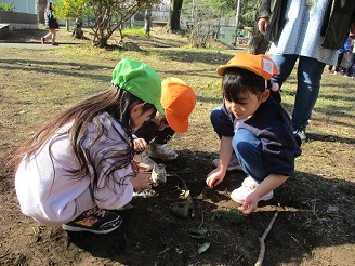 4歳児ぱんだ組と5歳児らいおん組が枝を見つけ集めている様子の写真