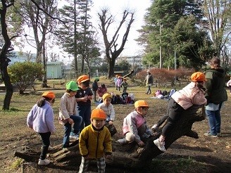 4歳児ぱんだ組が大きな切り株に登ってあそんでいる様子の写真