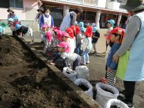 写真：ジャガイモ5