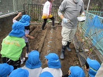 写真：じゃがいも植え1