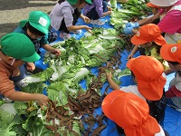 菌ちゃんの土作りの様子の写真