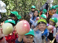 リンゴ狩りに出かけた様子の写真