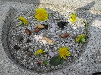 春の見つけたものを並べている様子の写真