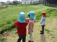 ペンペン草畑にちょうちょを発見している様子の写真