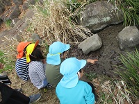 よそう森公園で遊んでいる様子の写真