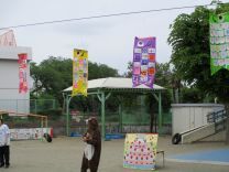 こいのぼりの写真