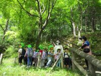 写真：3歳児が公園の階段を登る前の様子