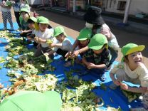 写真：土づくり2