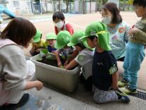 写真：苗植え4