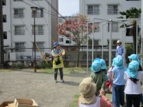 写真：こいのぼり9