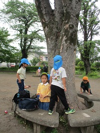 大きな木の元で遊んでいる様子の写真