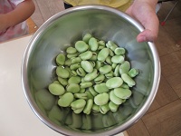ボールに入ったそら豆