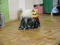 獅子がミカンをたべようとしている写真です。