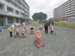 2歳が三輪車に乗っている写真