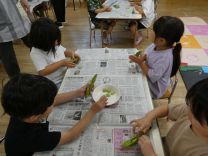 写真：そら豆2
