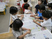 写真：そら豆5