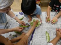 写真：そら豆6
