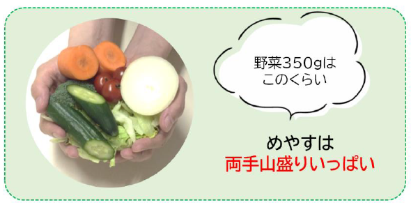 野菜の一日あたりの摂取目標量は両手山盛りいっぱい（350g）