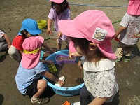2歳児のどろんこ遊びの様子の写真