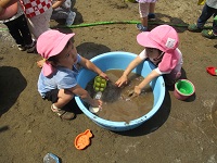 どろんこ遊びをしている様子の写真