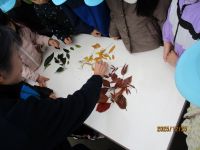 担当も一緒に落ち葉を観察している写真です。