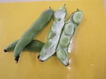そら豆ベット