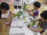 写真：とうもろこしの皮むき　5歳児