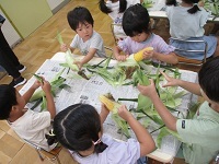 写真：とうもろこしの皮むき　4歳児