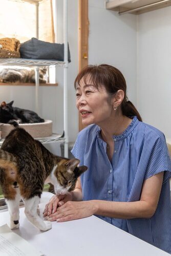 写真：観興寺さんと猫
