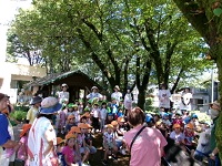 保育園児が幼稚園でポニーの見学をしている様子の写真